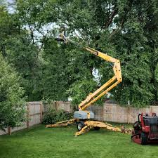 Best Utility Line Clearance  in Mccook, NE