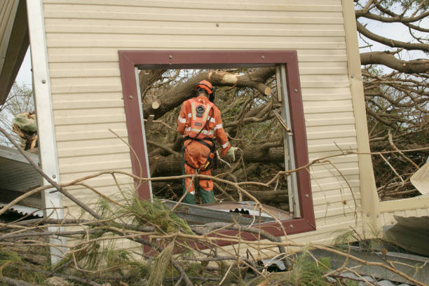 Best Tree Cabling and Bracing  in Mccook, NE