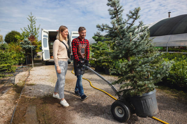 Best Emergency Tree Removal  in Mccook, NE